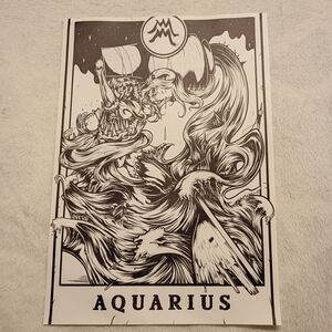 2/$10 Aquarius Zodiac Canvas Art Print